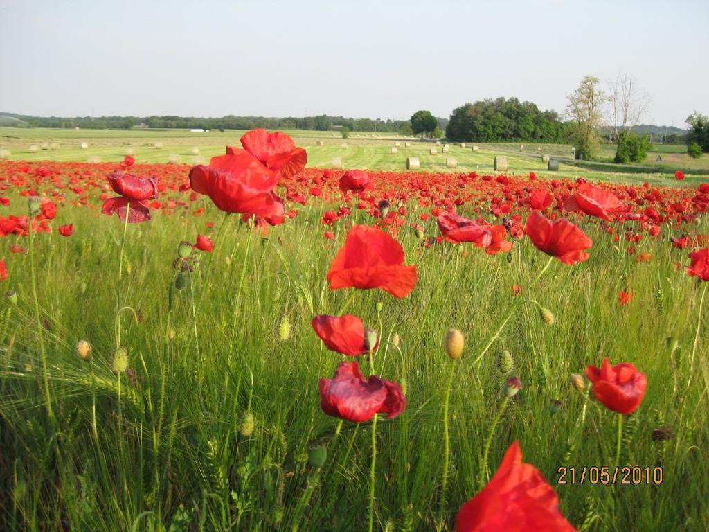 Agriturismo Campagnoletto Cavriana 外观 照片