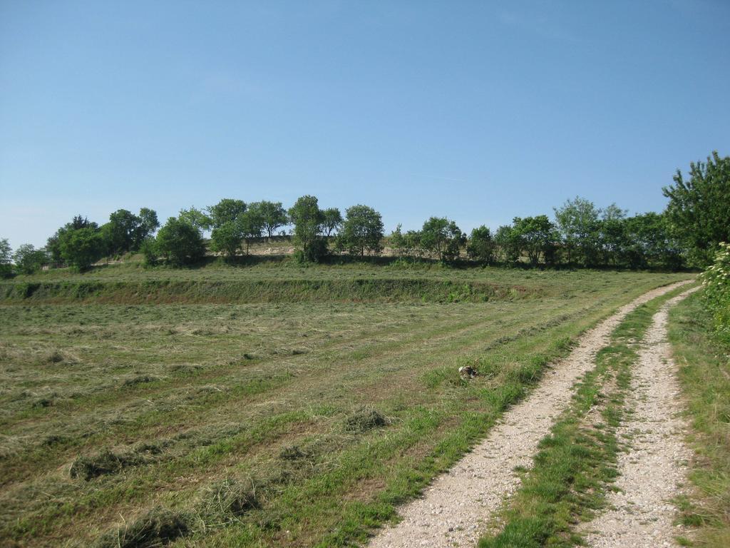Agriturismo Campagnoletto Cavriana 客房 照片