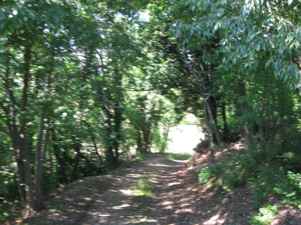 Agriturismo Campagnoletto Cavriana 客房 照片