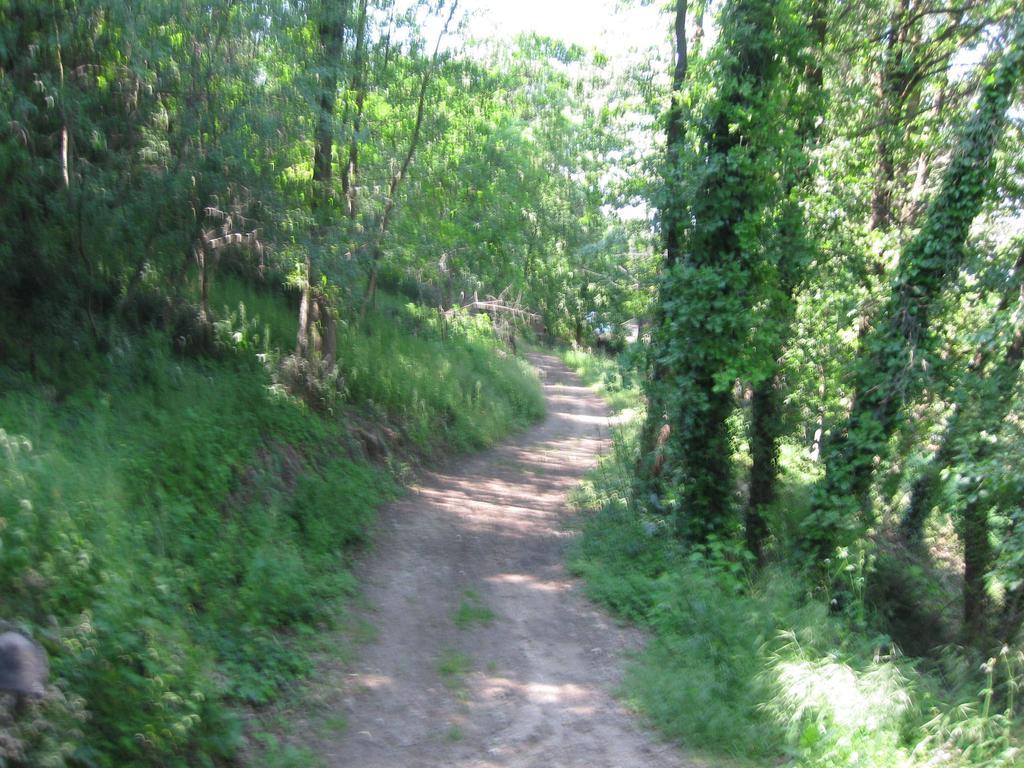 Agriturismo Campagnoletto Cavriana 客房 照片