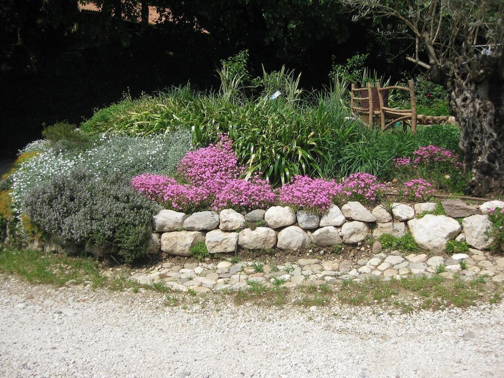 Agriturismo Campagnoletto Cavriana 外观 照片