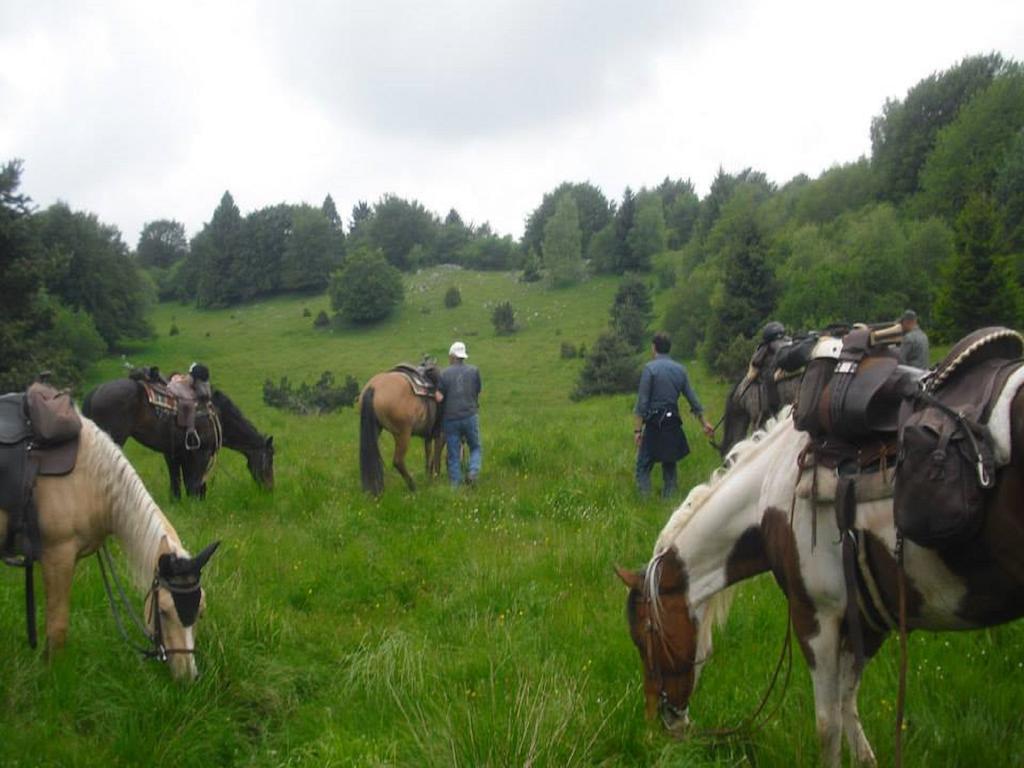 Agriturismo Campagnoletto Cavriana 外观 照片