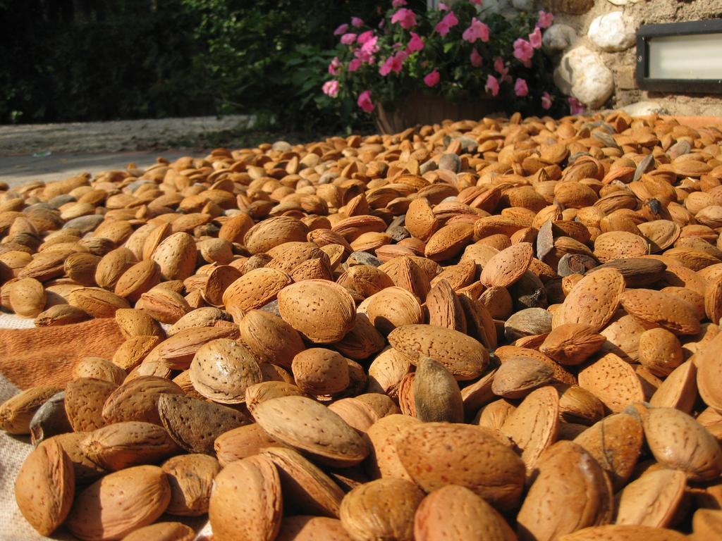 Agriturismo Campagnoletto Cavriana 外观 照片