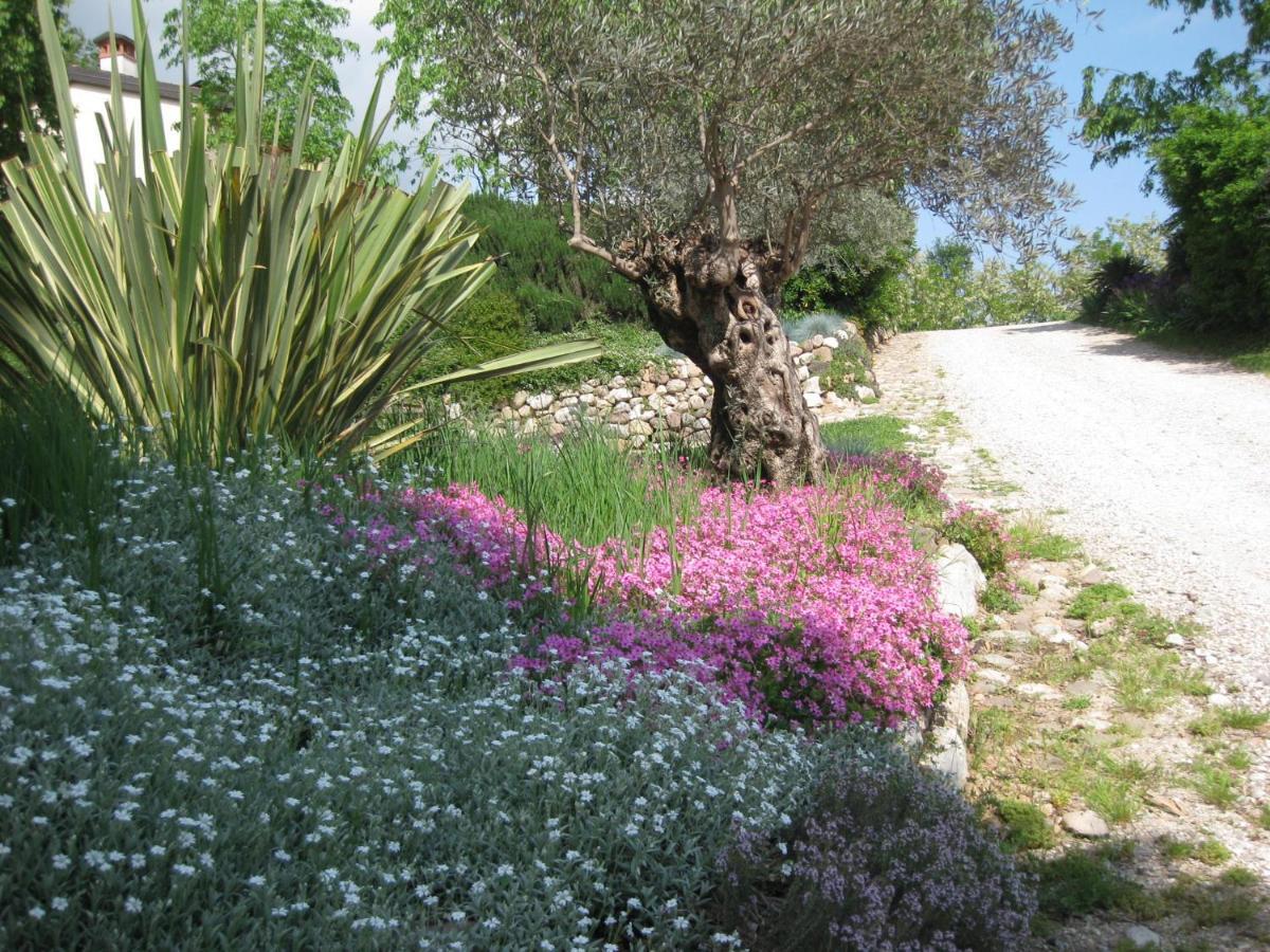 Agriturismo Campagnoletto Cavriana 外观 照片